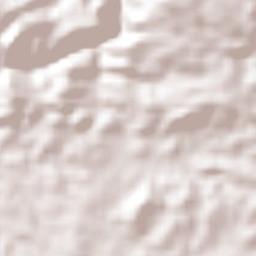 El Bajío Terrain Map