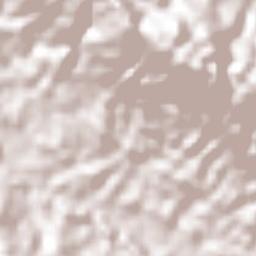 Santa Elena Terrain Map