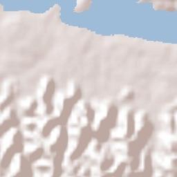 Municipio de San Benito Terrain Map