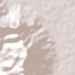 Nueva Frontera Terrain Map