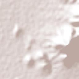 Santa Catarina Quiané Terrain Map