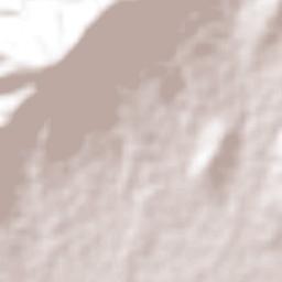 San Martín Tilcajete Terrain Map