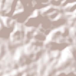 Francisco I. Madero Terrain Map