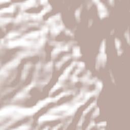 Altamirano Terrain Map