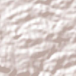 El Mesón Terrain Map