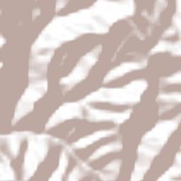 San Antonino el Alto Terrain Map