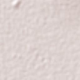 Santa Ana Zegache Terrain Map