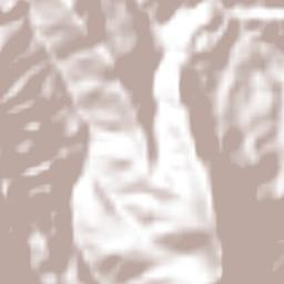 El Zapotillo Terrain Map