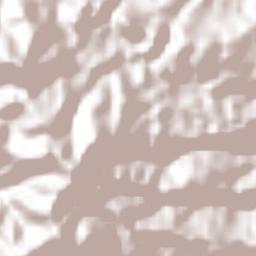 Tzontehuitz Terrain Map