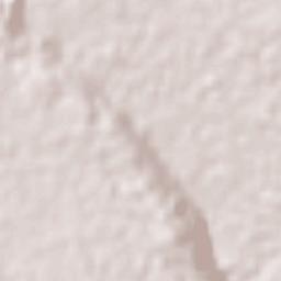 Nueva Palestina Terrain Map