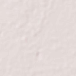 Tadepallegudem Terrain Map