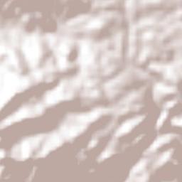 Coacoyulichán Terrain Map