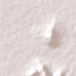 Santiago Apostol Terrain Map