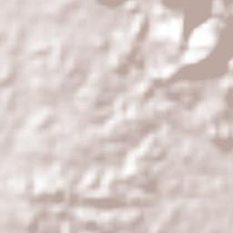 Colonia Progreso Terrain Map