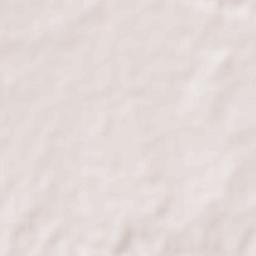 Jaisingpur Terrain Map