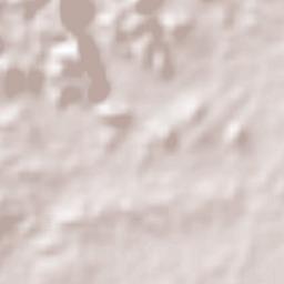 Las Vigas Terrain Map