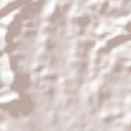 Cruz Grande Terrain Map