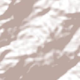 Igualapa Terrain Map