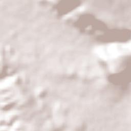 Ocozocoautla de Espinosa Terrain Map