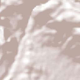 Juan del Grijalva Terrain Map