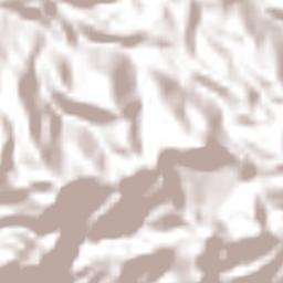 Navenchauc Terrain Map