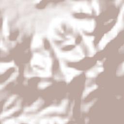 Bochojbo Alto Terrain Map