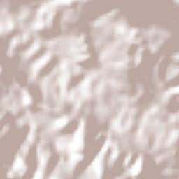 El Zapotal Terrain Map