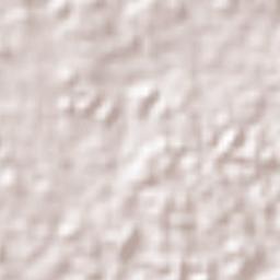 Municipio de San Francisco Terrain Map