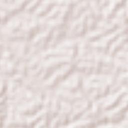 San Guillermo Terrain Map