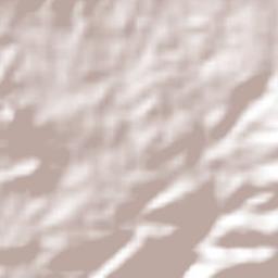 Ometepec Terrain Map