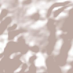 San Vicente Lachixío Terrain Map