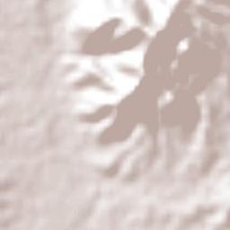 Ayoquezco de Aldama Terrain Map