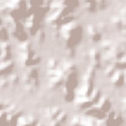 Santiago Ixtaltepec Terrain Map