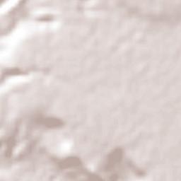 Nuevo Carmen Tonapac Terrain Map