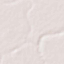 Kurandvad Terrain Map