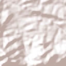 San Pedro Amuzgos Terrain Map