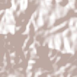 San Pedro Taviche Terrain Map