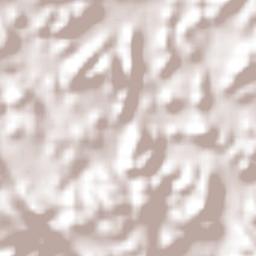 Alfonso Moguel Terrain Map