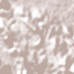 Mitzitón Terrain Map