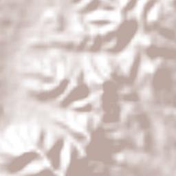 San Martín Lachila Terrain Map