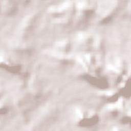 Lázaro Cárdenas Terrain Map