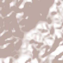 Santa María Zoquitlán Terrain Map