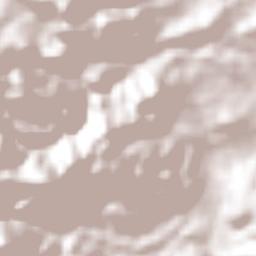 El Camarón Terrain Map