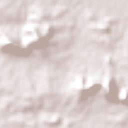 Pomposo Castellanos Terrain Map