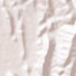 Paringao Terrain Map