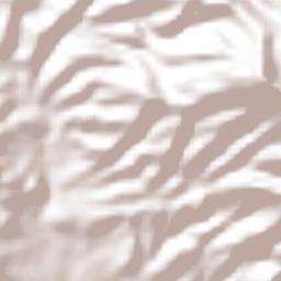 San Francisco Sola Terrain Map