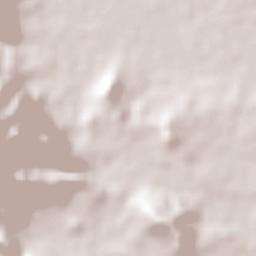 Cuauhtémoc Terrain Map