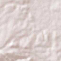 Nicolás Bravo Terrain Map