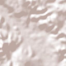 Amatenango del Valle Terrain Map