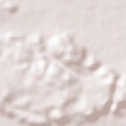 Shorapur Terrain Map